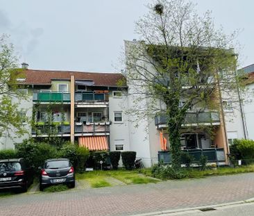 2-Zimmer-Wohnung in Bad Dürkheim mieten - Photo 4
