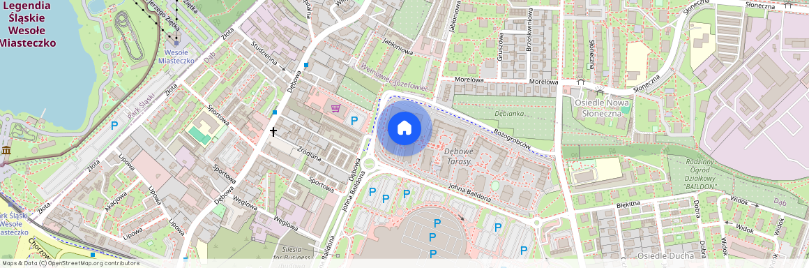 ul. Johna Baildona, Dąb, Katowice, śląskie