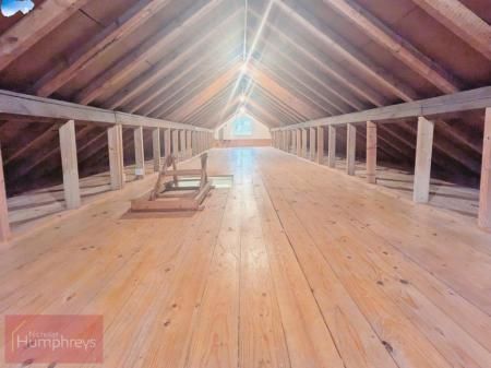 Sycamore Avenue - Photo 2