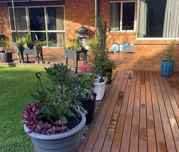 Beautiful 4 bed rooms Family home in Orewa - Photo 3