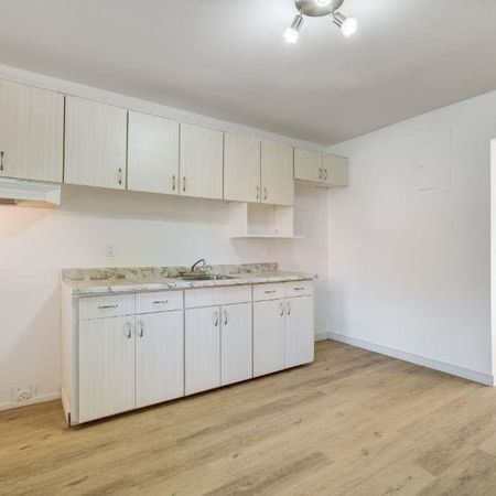 3 1/2 ou 4 1/2 rénovés, Ile-Perrot, Dispo maintenant ! 1100$ ou 1350$ - Photo 3