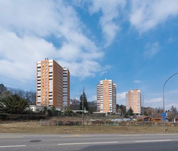 Mitten in der Stadt und doch im Grünen! - Foto 4