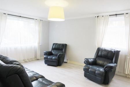 Redwood Way - Photo 5