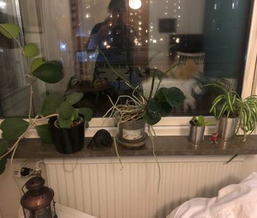 Skäpplandsgatan, Göteborg - Photo 2