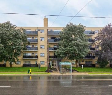 50 Adelaide Ave E and 290 & 300 Mary St N | 50 Adelaide Ave E and 2... - Photo 1