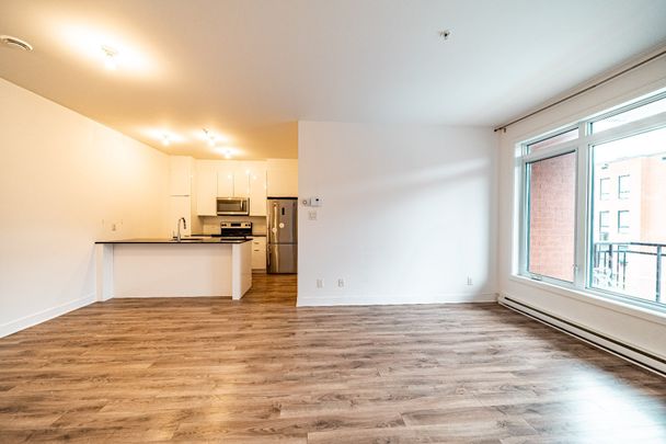 Av. Aird, H1V 2W6, Montréal - Photo 1