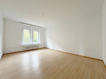 Newly Renovated - Modern - Central - Your New Home? - Photo 4