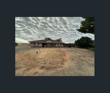 A taste of the country! - Photo 4