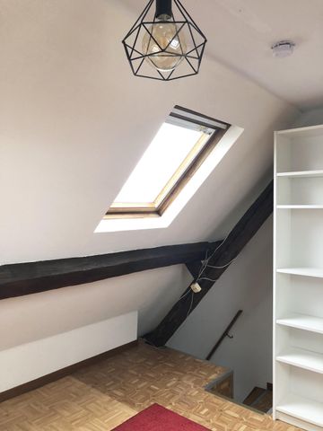 kamer 4 - Sint-Lie­venspoort­straat 40 - Photo 5