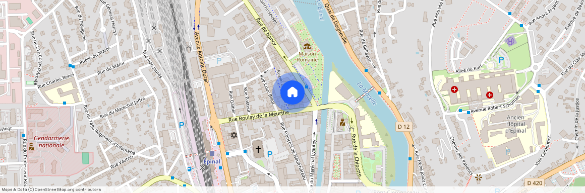 5 ruelle des Jardins, EPINAL, 88000