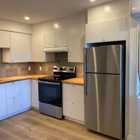 Grand 4 1/2 rénové - Rosemont - Photo 3