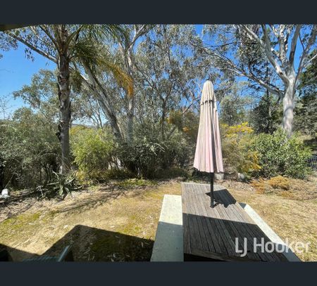61 Cunningham Lane, Inverell, NSW 2360 - Photo 5