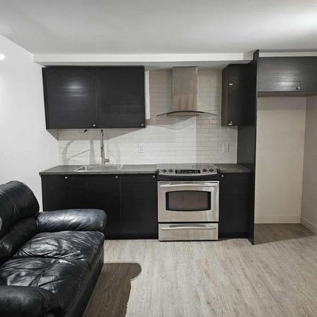 logement 3 1/2 saint-michel - Photo 3