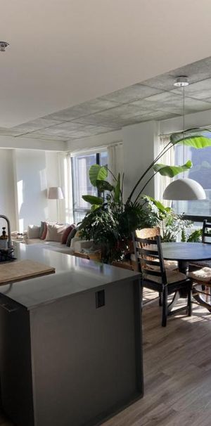 4 1/2 - Montréal (Griffintown) - 2 930 $/mois - Photo 1