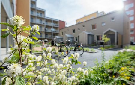 Handelsmyntet 13 - Foto 2