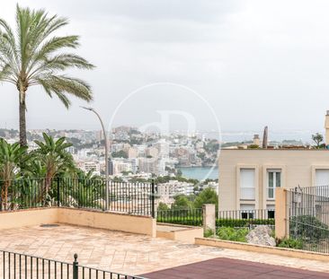 Flat for rent in Cas Català - Photo 2