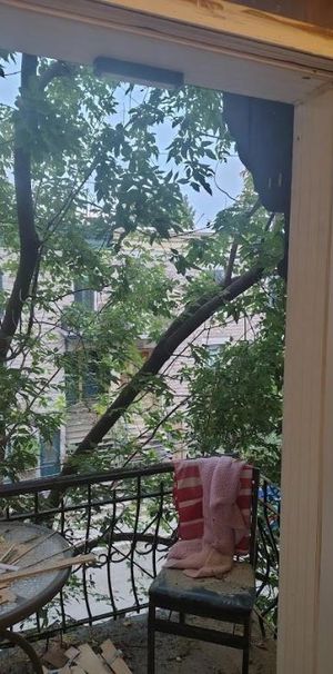 6 1/2 - Montréal (Le Plateau Mont-Royal) - 795 $/mois - Photo 1