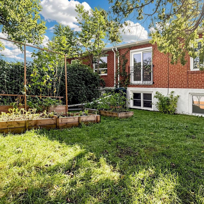 For Lease - 23 Linelle Street Unit# BSMT, Toronto, Ontario - Photo 1