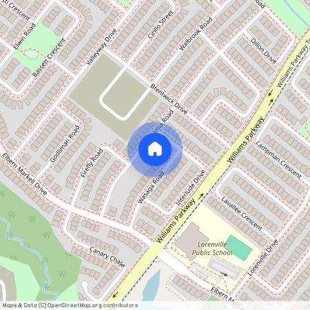 35 Kalmia Road, Brampton