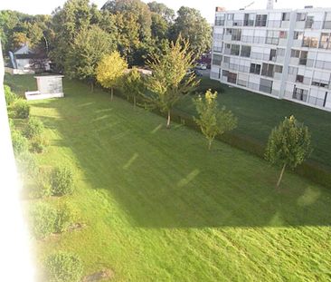 Location Appartement 1 pièce(s) de 23.83 m2 - Photo 6