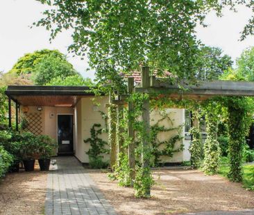 3 bedroom detached bungalow to rent - Photo 6