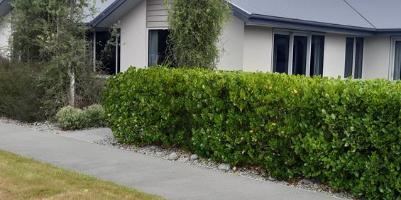 Marshland, 4 bedrooms - Photo 3