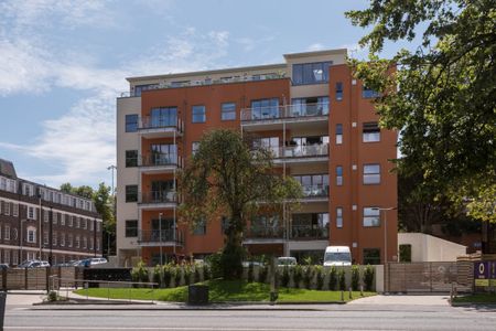 ParQ 157-159 Preston Road - Photo 5