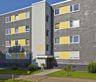 3-Zimmer Wohnung in Laer mit WBS - Photo 1