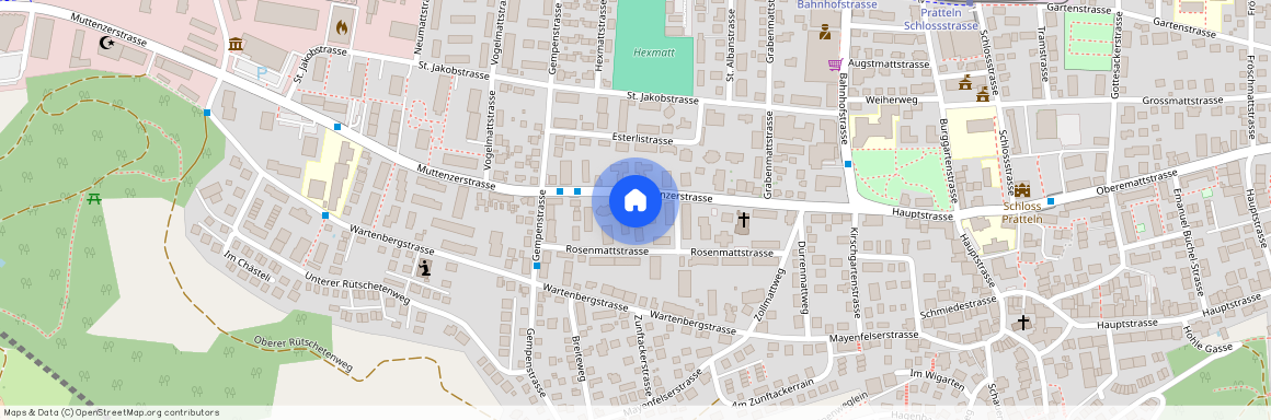 4133, Pratteln, Muttenzerstrasse, 29