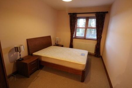 Apt 2 230 Malone Road, Belfast, BT9 5LQ - Photo 4