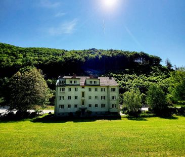 Wohnung mit viel Potenzial in Hainfeld I Profitieren sie von der gü... - Foto 4