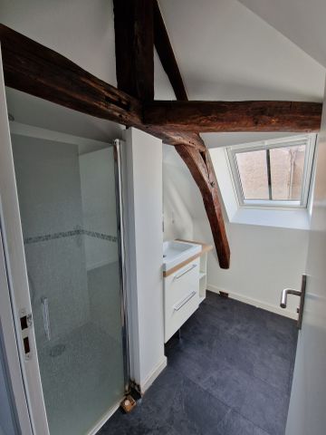 Location Appartement 2 pièces 58m² ORLEANS 45000 - Photo 4