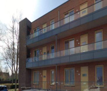 Appartement de 3 pièces Boogerd 3V, Wognum - À louer - Foto 3