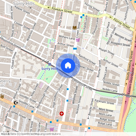 495 Crown Street, 2010, Surry Hills