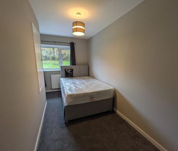 6 bedroom house share to rent - Photo 2