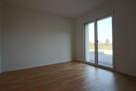 2.5 Zimmer, 65 m², EG - Foto 2