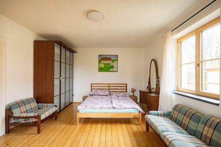 Pronájem bytu 1+1 53 m² - Fotografie 3