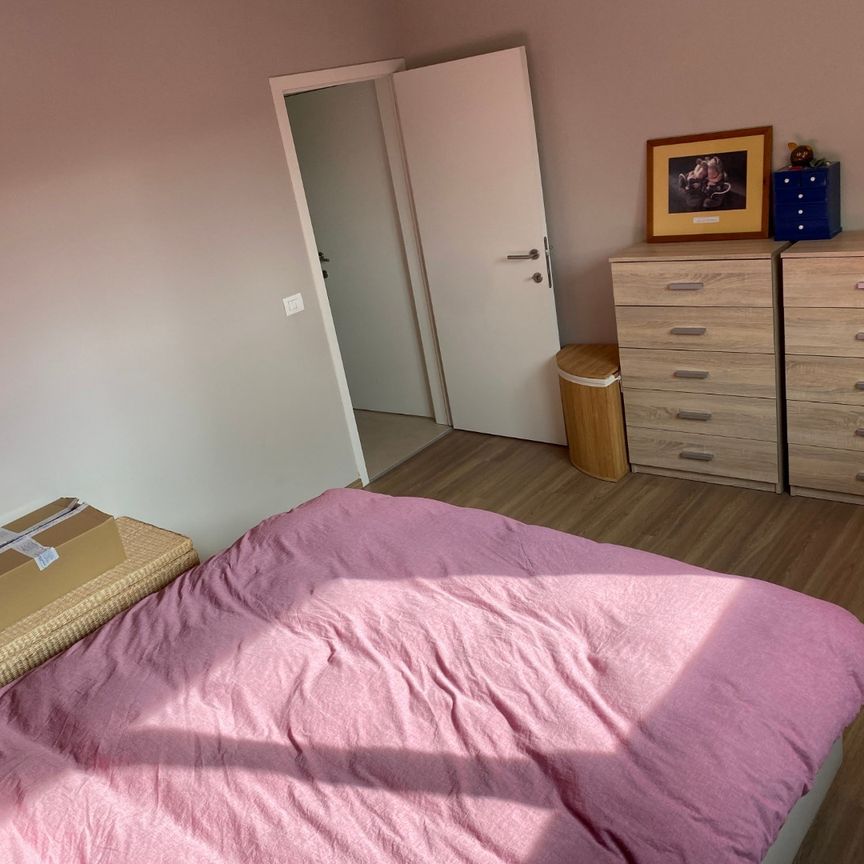 Appartement te huur in Kruisem - Photo 1