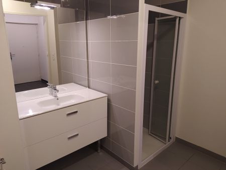 Appartement - 2 pièces - Jardin Lecoq/Facultés - Photo 3