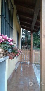 TOR VERGATA-monolocale/RISTRUTTURATO - Photo 3
