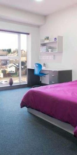 Premium Studio, Poulson House, Stoke-on-trent Student Village, ST4 - Photo 1