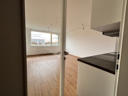 Erstbezug - 2-Zimmer-Wohnung im Erdgeschoss mit Garten - Foto 1