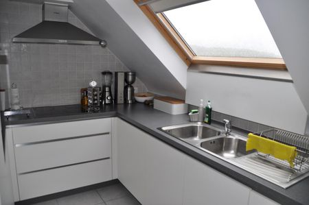 Mooi appartement met twee slaapkamers in Denderleeuw - Foto 4