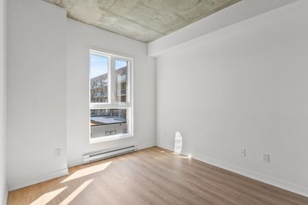 2211 Rue Harry-Halton, Montréal, QC - Photo 3