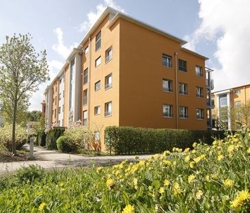 Sunny prospects for you - Photo 4