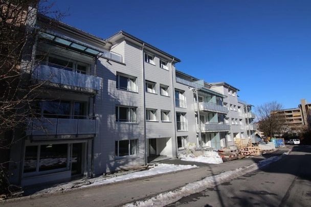 "Top Lage in Zürich Albisrieden" - Photo 1