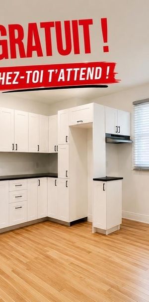 3.5 entièrement rénové dans Rosemont, 1er mois de loyer gratuit !! - Photo 1