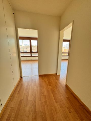 3 Zimmer, 60 m², 2. Stock - Foto 4