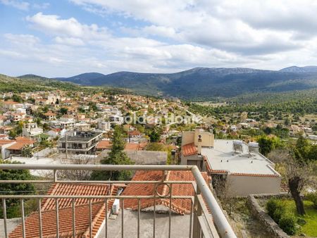 Μονοκατοικία για ενοικίαση Κέντρο (Βίλια) - Photo 3