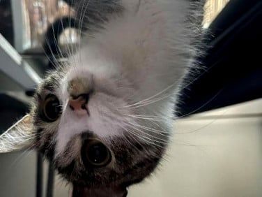 Pokój, ul. Jackowskiego - Zdjęcie 1